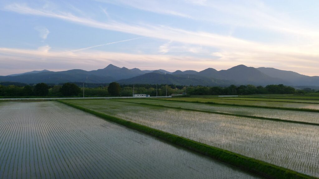 국민 10명 중 4명은 ‘땅주인’…토지 보유자는 늘었는데 1세대당 면적은 줄었다 1 tonchin2024 countryside 2425736