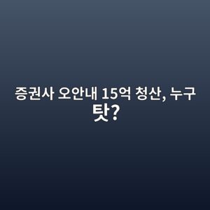 잘못된 증권사 안내 믿었다가 15억원 손실…책임은 누가 지나 6 eca69deab68cec82ac ec98a4ec9588eb82b4 15ec96b5 ecb2adec82b0 eb8884eab5ac ed8393 1789024941