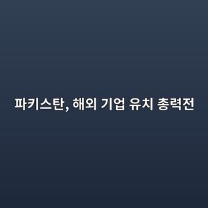 파키스탄이 가상자산에 승부 걸었다…트럼프 프로젝트 손잡고 기업 유치 1 ed8c8ced82a4ec8aa4ed8384 ed95b4ec99b8 eab8b0ec9785 ec9ca0ecb998 ecb49deba0a5eca084 1789026836